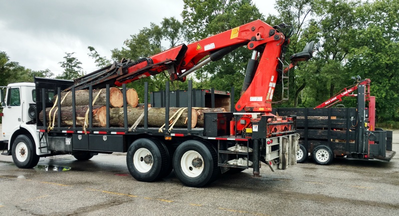 Tree Service in West Michigan