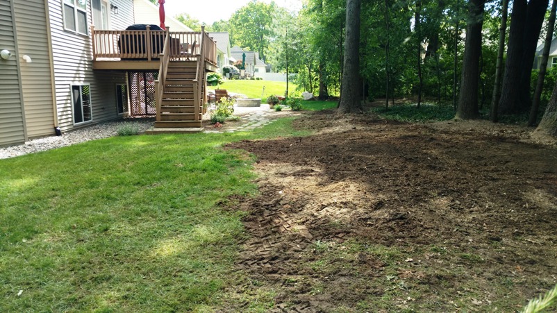 Stump Grinding in Grand Haven Spring Lake MI 49417