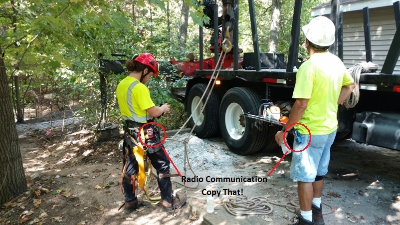 Tri City Tree Service in Grand Haven, MI 49417