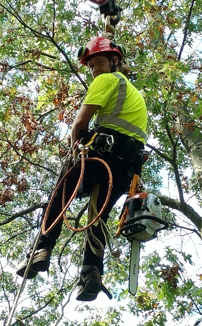 Tri City Tree & Crane Service, Grand Haven, MI 49417