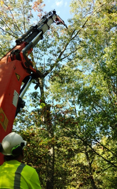 Tri City Tree and Crane Service