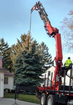 Tree and Crane Service