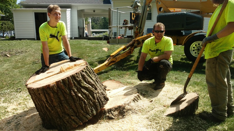 Stump grinding